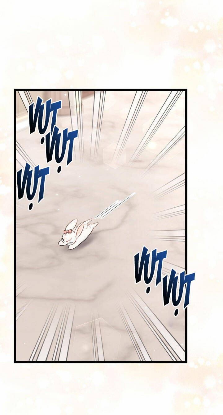 Mối Liên Kết Giữa Báo Đen Và Bé Thỏ Chap 101 - Next Chap 102