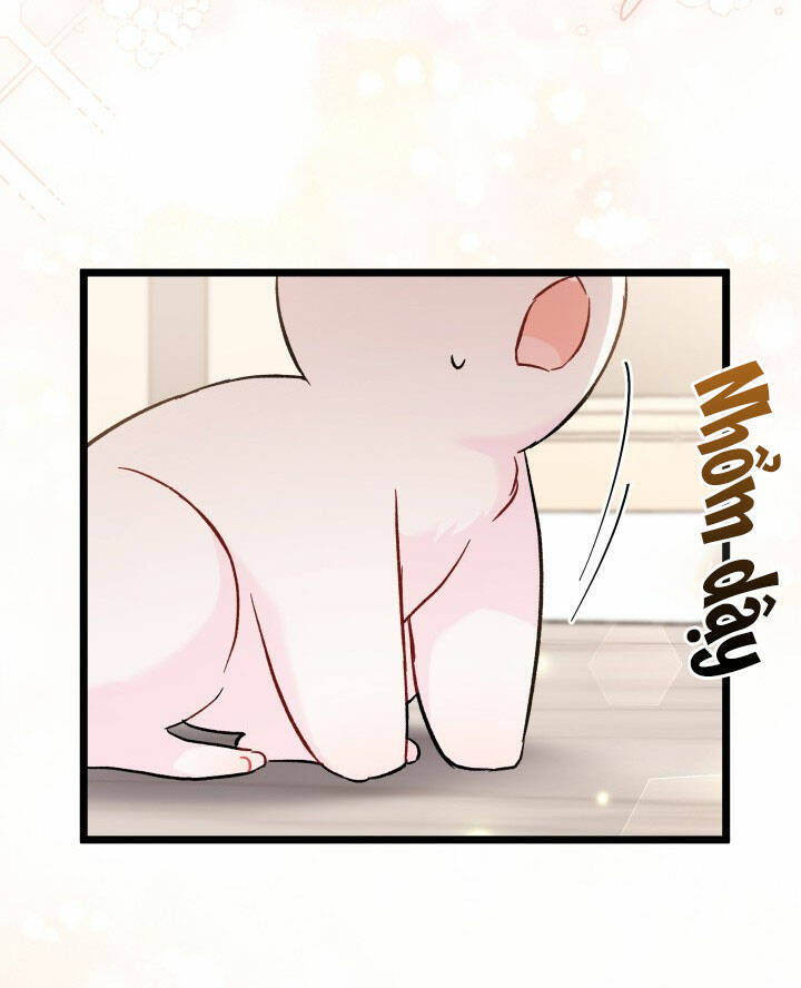 Mối Liên Kết Giữa Báo Đen Và Bé Thỏ Chap 101 - Next Chap 102