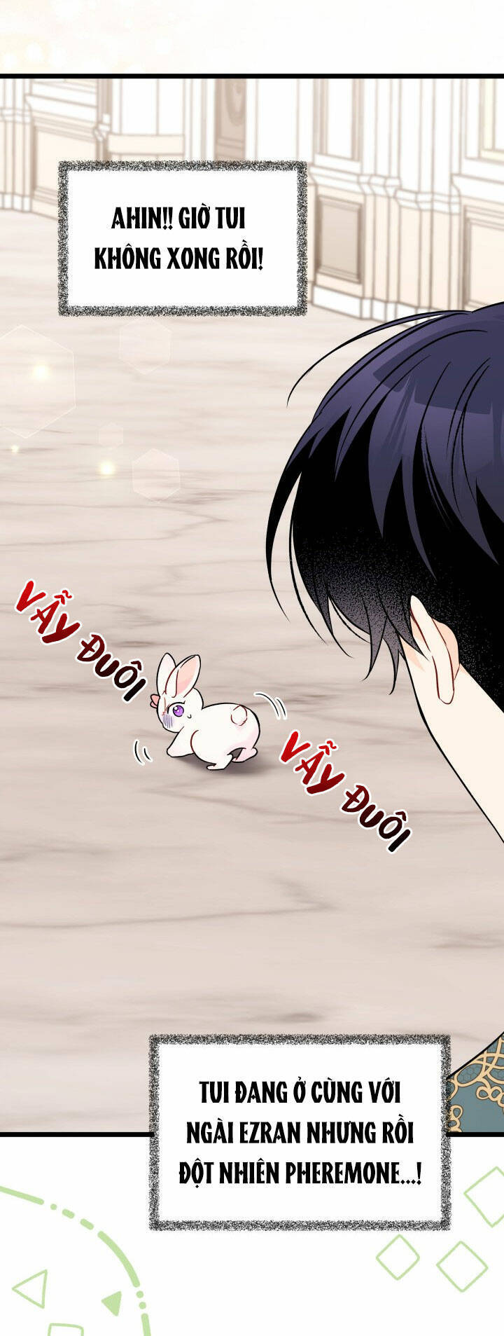 Mối Liên Kết Giữa Báo Đen Và Bé Thỏ Chap 101 - Next Chap 102