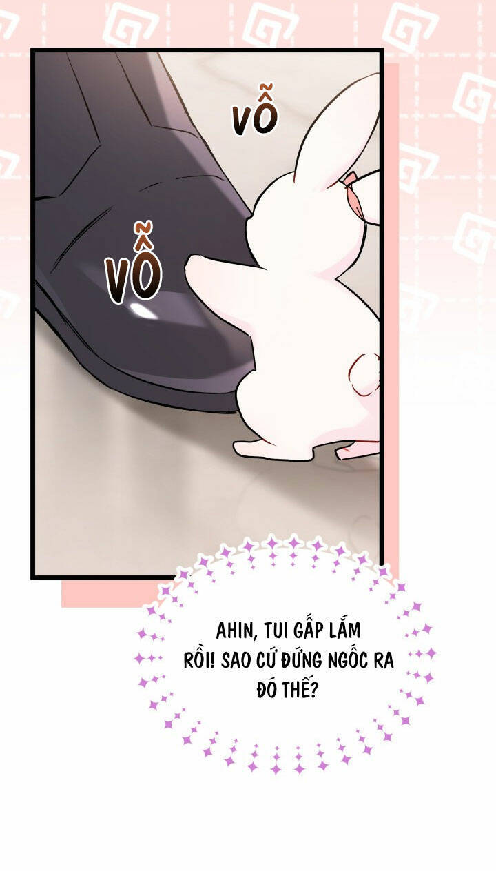 Mối Liên Kết Giữa Báo Đen Và Bé Thỏ Chap 101 - Next Chap 102