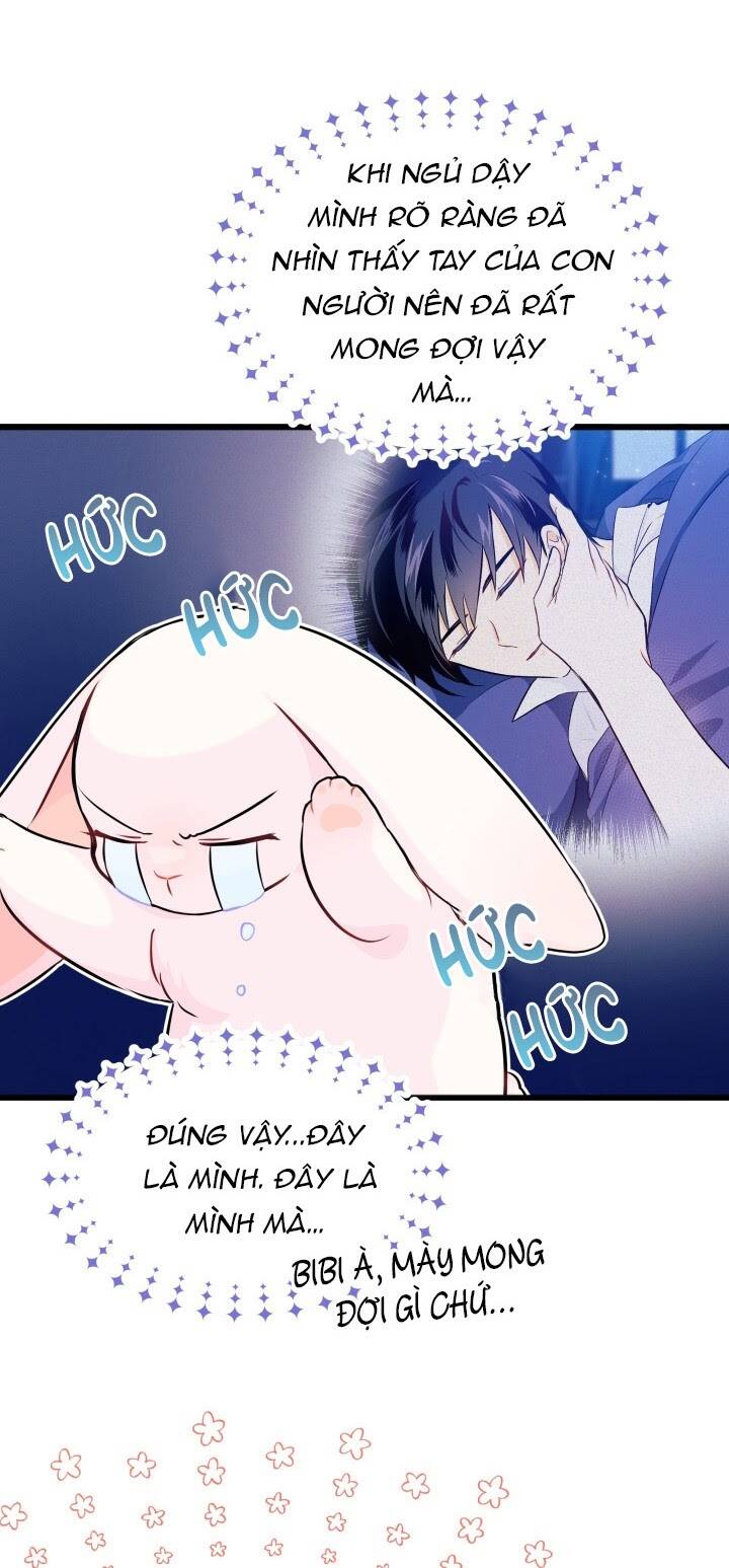 Mối Liên Kết Giữa Báo Đen Và Bé Thỏ Chap 11 - Next Chap 12