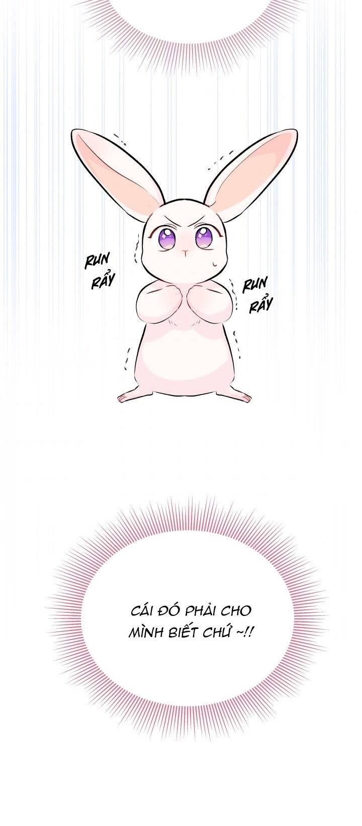 Mối Liên Kết Giữa Báo Đen Và Bé Thỏ Chap 11 - Next Chap 12