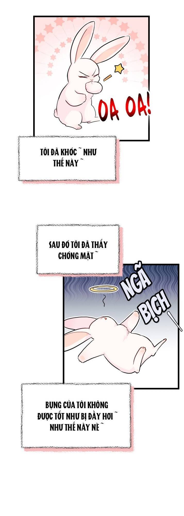 Mối Liên Kết Giữa Báo Đen Và Bé Thỏ Chap 11 - Next Chap 12