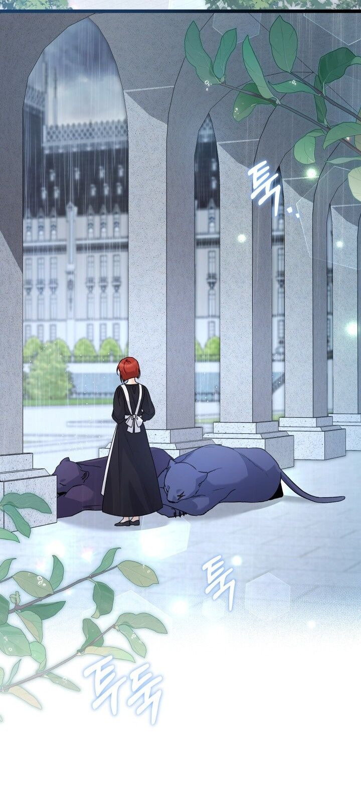 Mối Liên Kết Giữa Báo Đen Và Bé Thỏ Chap 121 - Next Chap 122