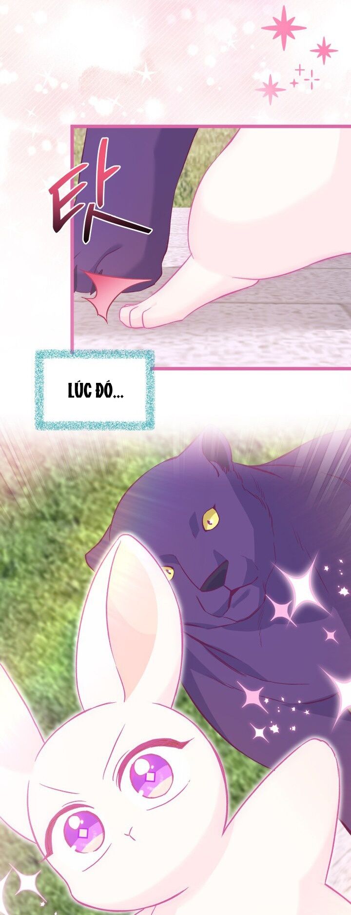 Mối Liên Kết Giữa Báo Đen Và Bé Thỏ Chap 121 - Next Chap 122