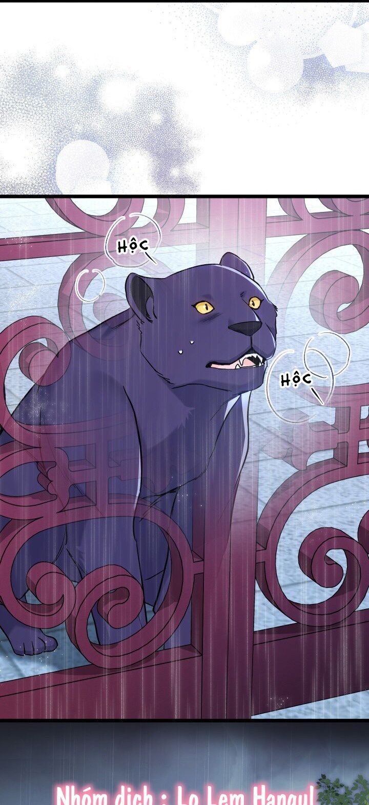 Mối Liên Kết Giữa Báo Đen Và Bé Thỏ Chap 121 - Next Chap 122