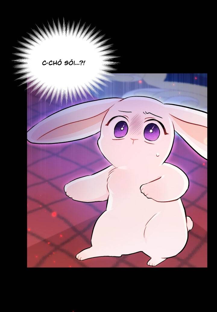 Mối Liên Kết Giữa Báo Đen Và Bé Thỏ Chap 14 - Next Chap 15