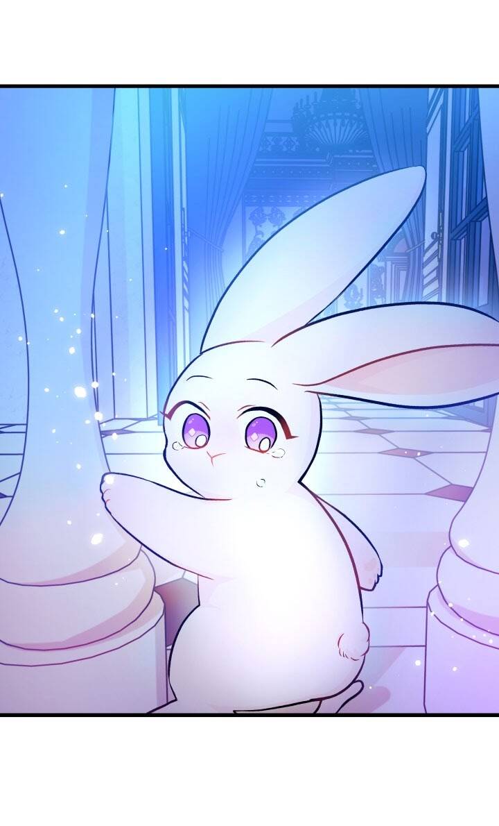 Mối Liên Kết Giữa Báo Đen Và Bé Thỏ Chap 14 - Next Chap 15