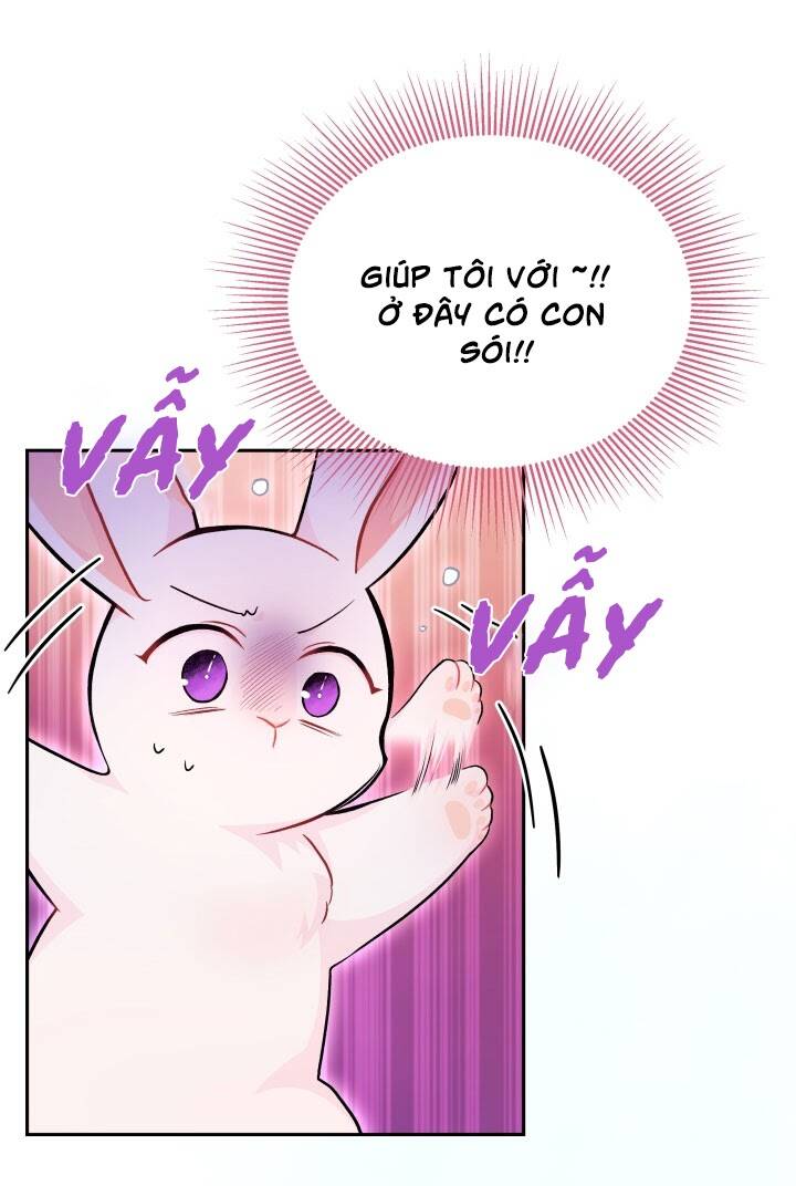 Mối Liên Kết Giữa Báo Đen Và Bé Thỏ Chap 14 - Next Chap 15