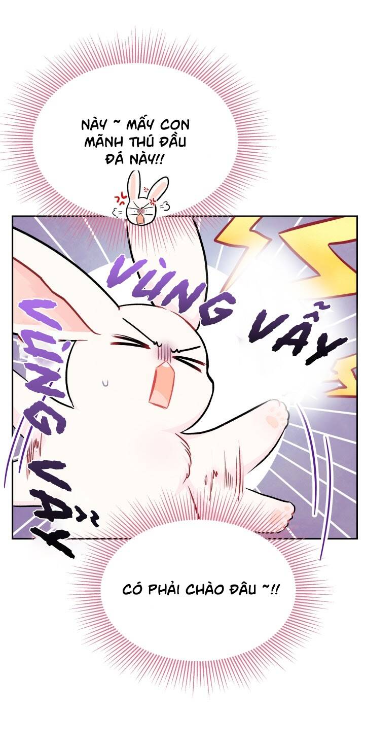 Mối Liên Kết Giữa Báo Đen Và Bé Thỏ Chap 14 - Next Chap 15