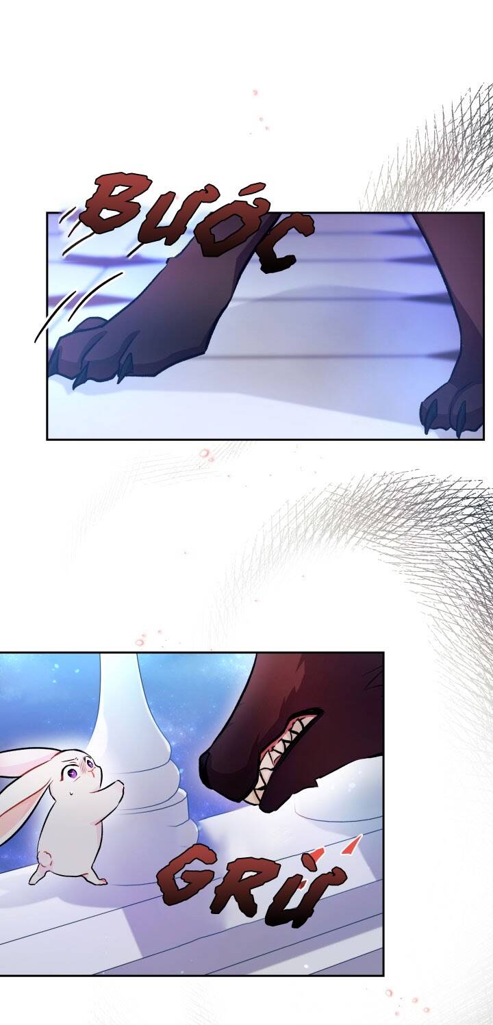 Mối Liên Kết Giữa Báo Đen Và Bé Thỏ Chap 14 - Next Chap 15