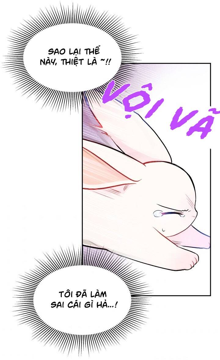 Mối Liên Kết Giữa Báo Đen Và Bé Thỏ Chap 14 - Next Chap 15