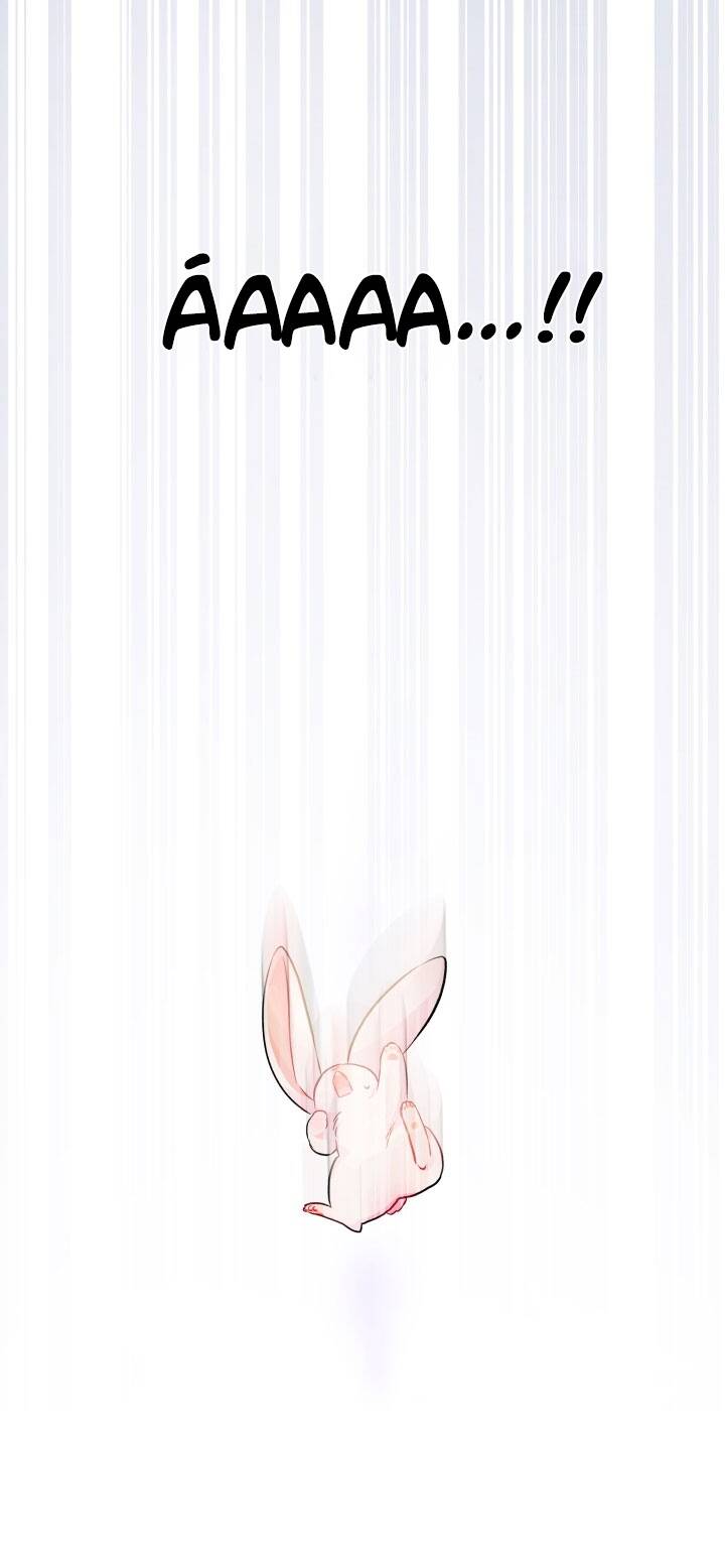 Mối Liên Kết Giữa Báo Đen Và Bé Thỏ Chap 14 - Next Chap 15