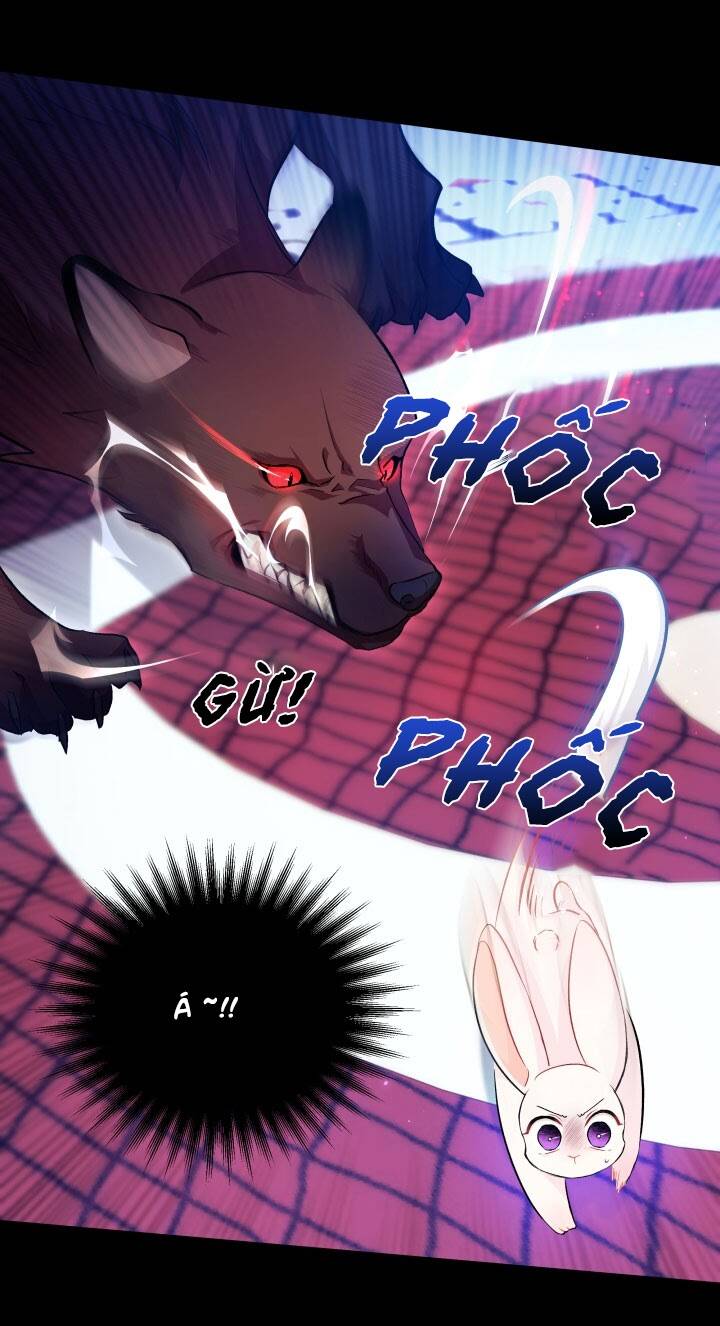 Mối Liên Kết Giữa Báo Đen Và Bé Thỏ Chap 14 - Next Chap 15