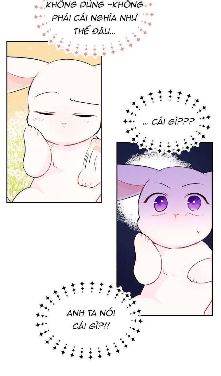 Mối Liên Kết Giữa Báo Đen Và Bé Thỏ Chap 15 - Next Chap 16