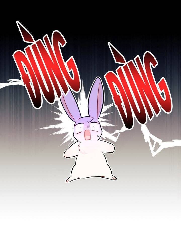 Mối Liên Kết Giữa Báo Đen Và Bé Thỏ Chap 15 - Next Chap 16