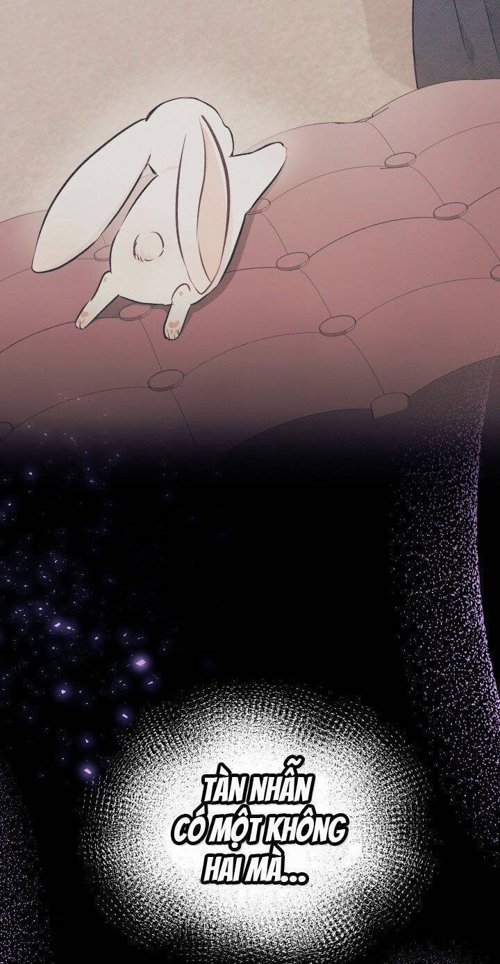 Mối Liên Kết Giữa Báo Đen Và Bé Thỏ Chap 15 - Next Chap 16