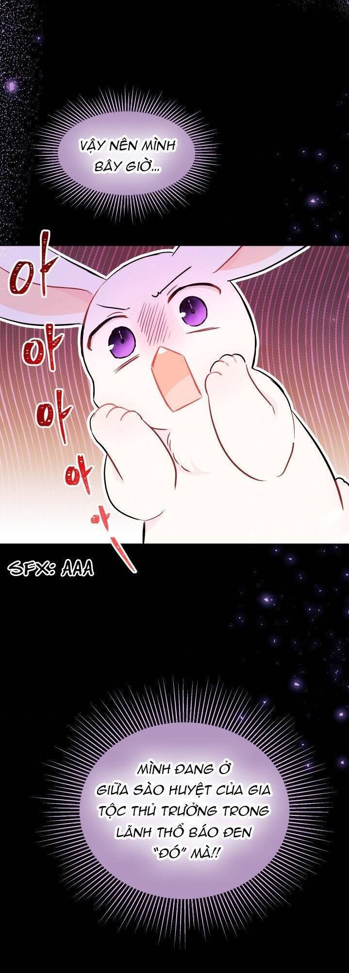 Mối Liên Kết Giữa Báo Đen Và Bé Thỏ Chap 15 - Next Chap 16