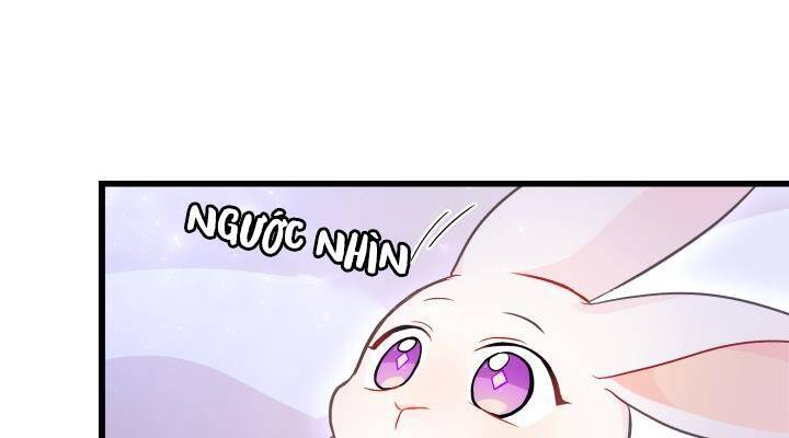 Mối Liên Kết Giữa Báo Đen Và Bé Thỏ Chap 16 - Next Chap 17