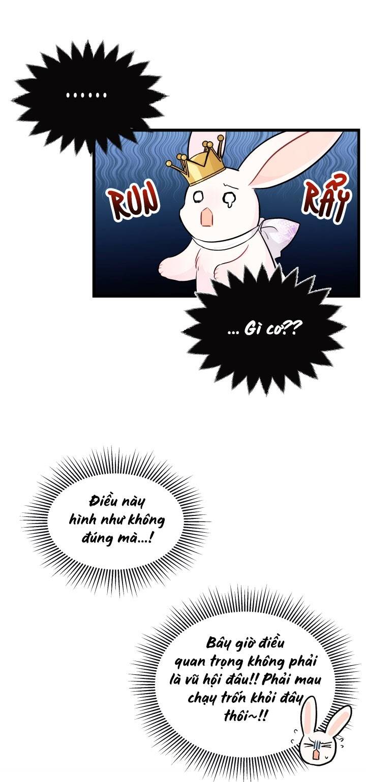 Mối Liên Kết Giữa Báo Đen Và Bé Thỏ Chap 17 - Next Chap 18