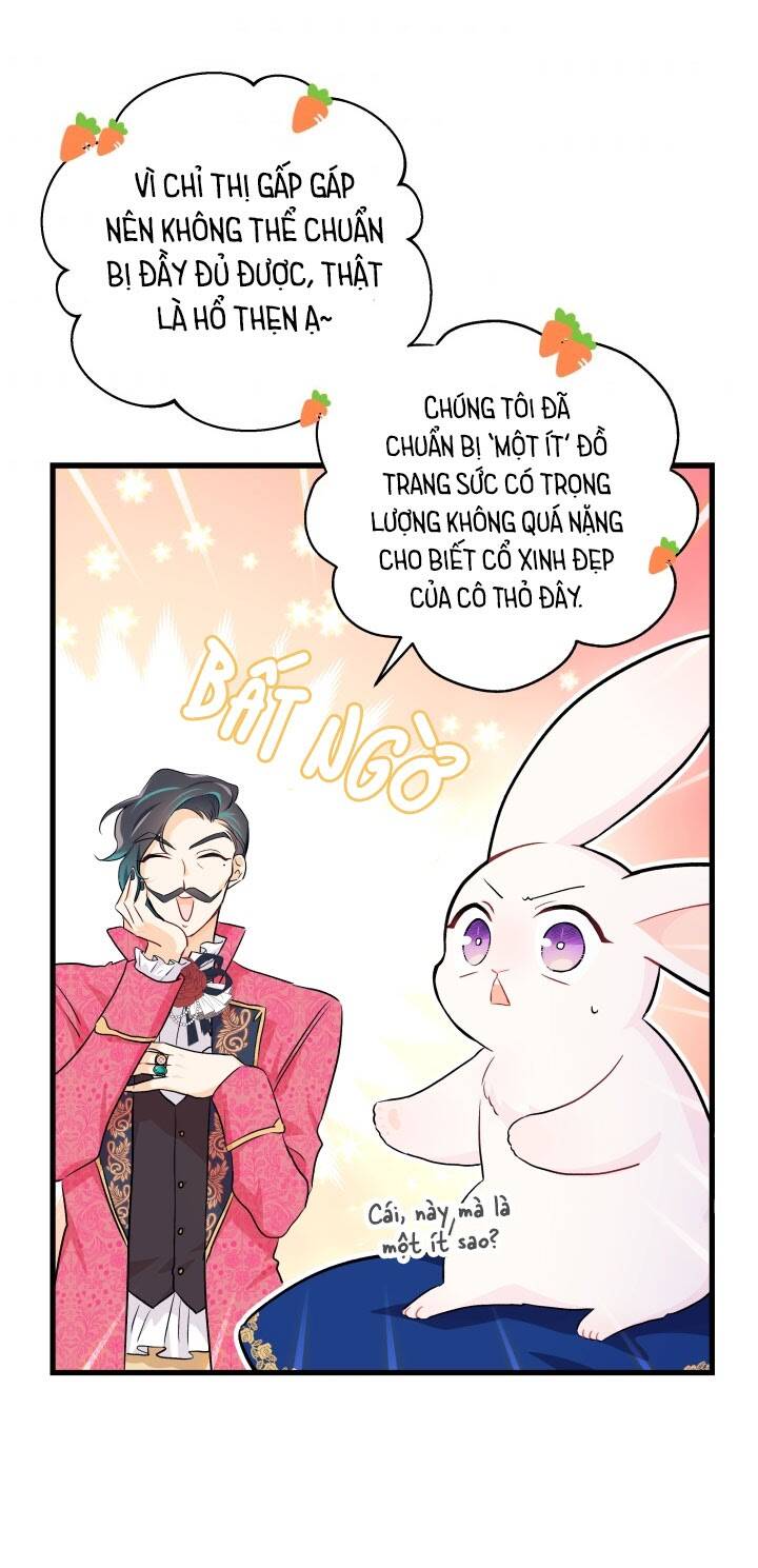Mối Liên Kết Giữa Báo Đen Và Bé Thỏ Chap 17 - Next Chap 18