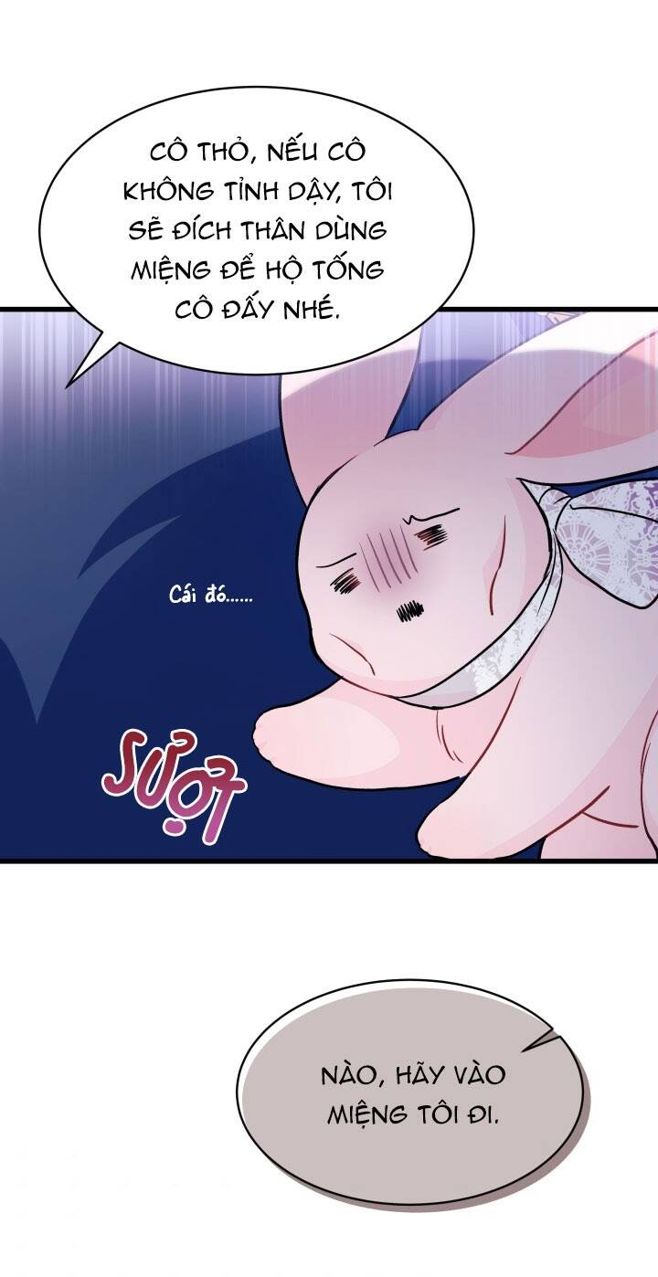 Mối Liên Kết Giữa Báo Đen Và Bé Thỏ Chap 17 - Next Chap 18