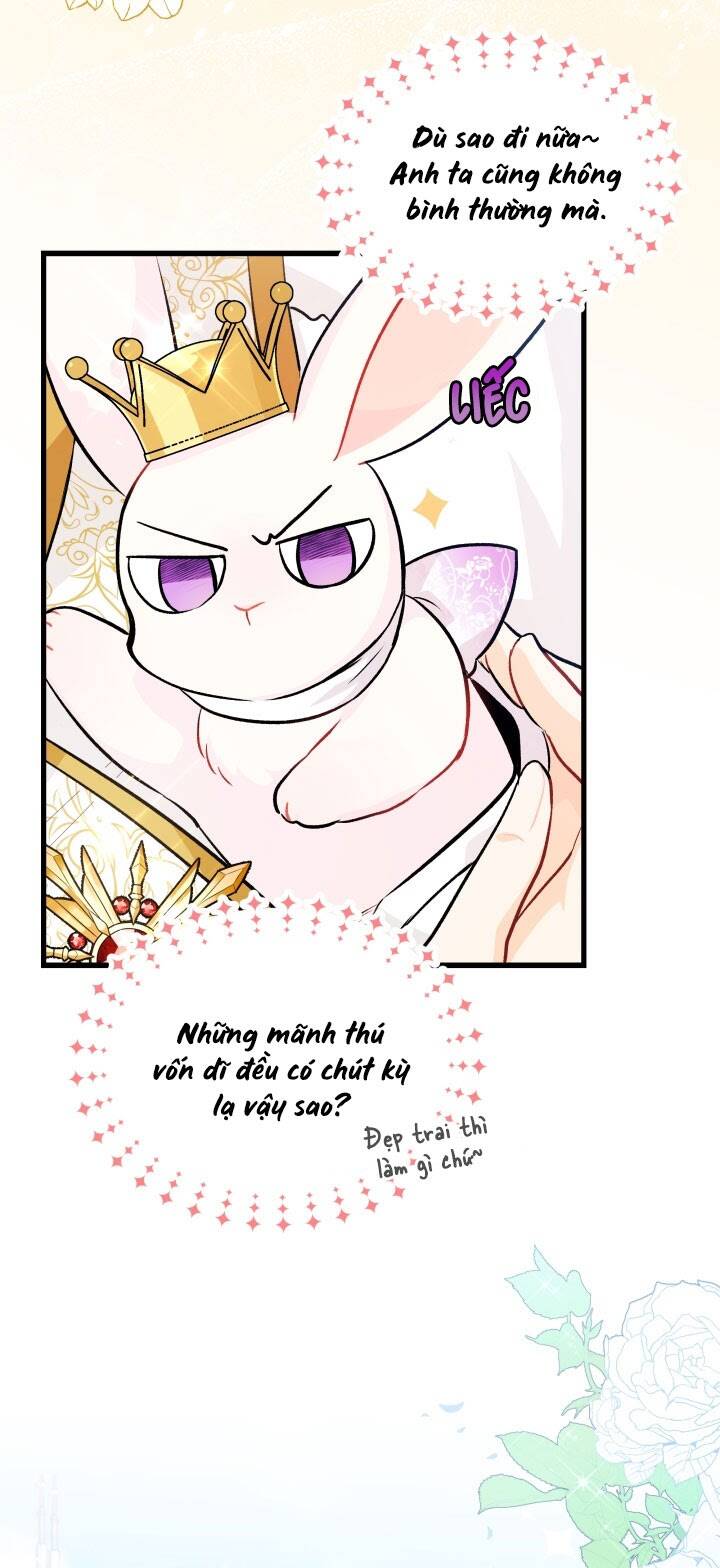 Mối Liên Kết Giữa Báo Đen Và Bé Thỏ Chap 17 - Next Chap 18