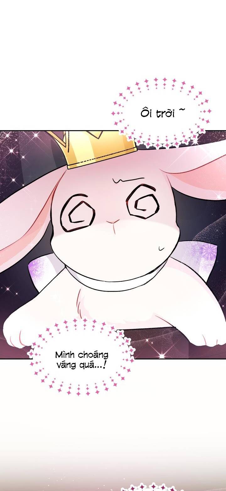 Mối Liên Kết Giữa Báo Đen Và Bé Thỏ Chap 18 - Next Chap 19