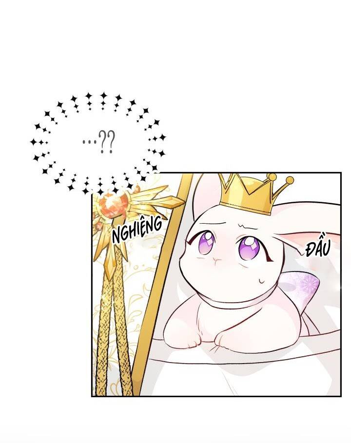 Mối Liên Kết Giữa Báo Đen Và Bé Thỏ Chap 18 - Next Chap 19