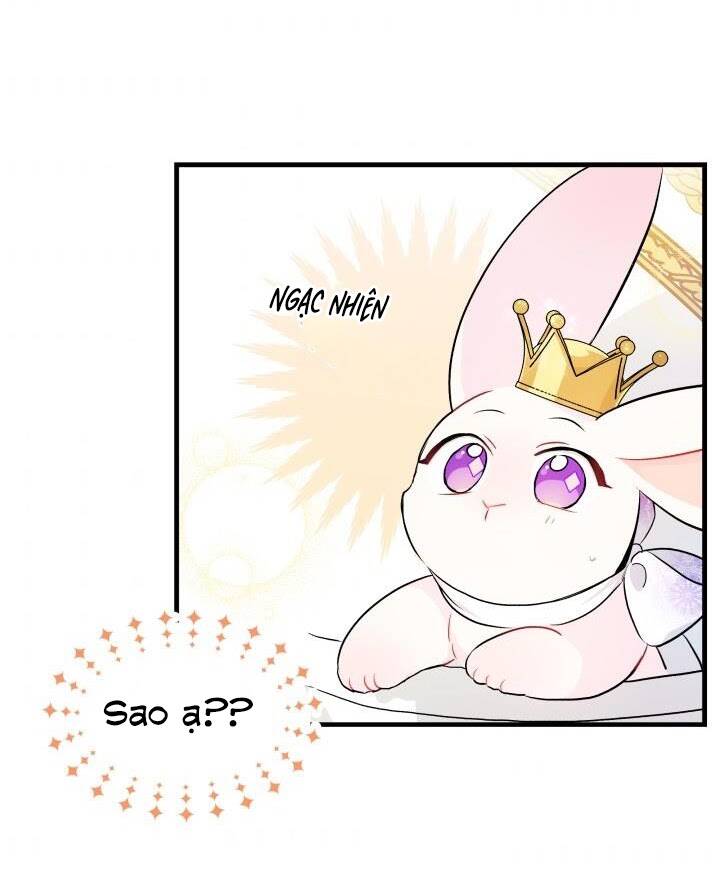 Mối Liên Kết Giữa Báo Đen Và Bé Thỏ Chap 18 - Next Chap 19