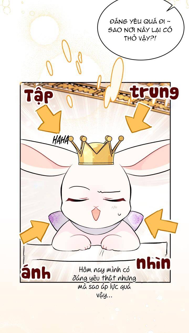 Mối Liên Kết Giữa Báo Đen Và Bé Thỏ Chap 18 - Next Chap 19