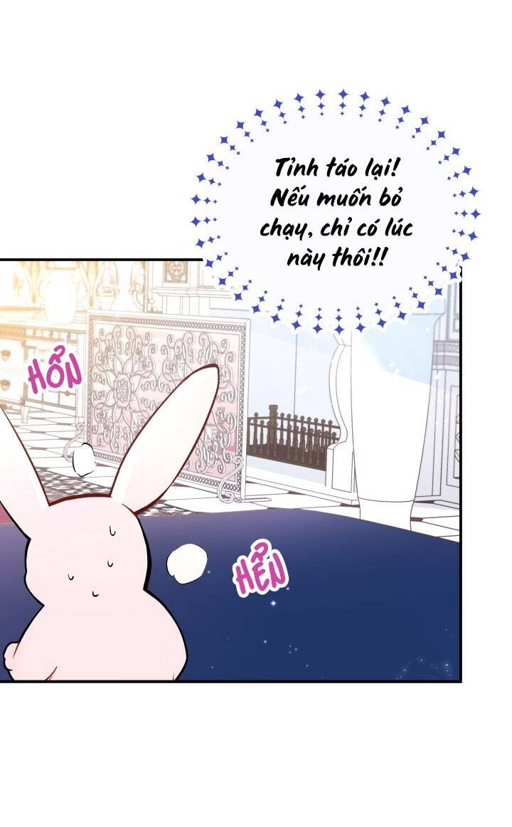 Mối Liên Kết Giữa Báo Đen Và Bé Thỏ Chap 2 - Next Chap 3