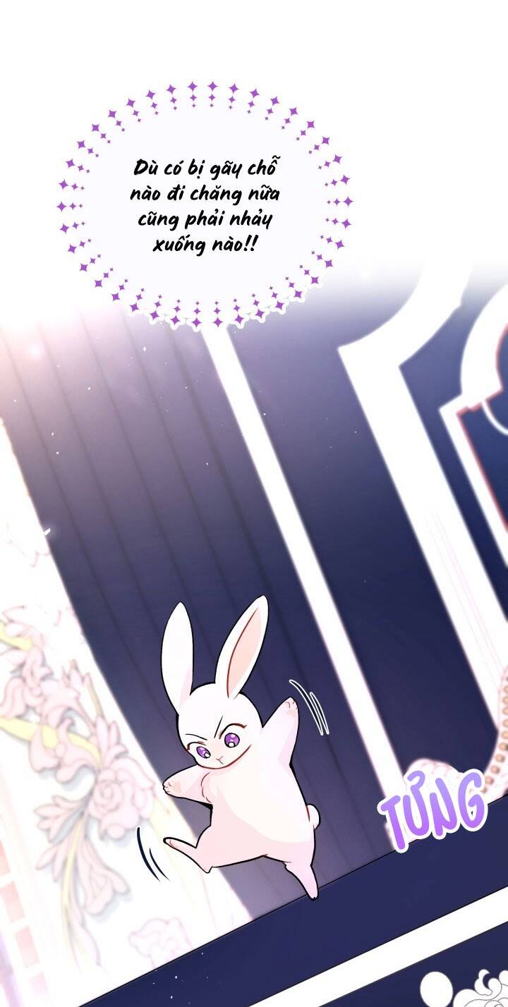Mối Liên Kết Giữa Báo Đen Và Bé Thỏ Chap 2 - Next Chap 3
