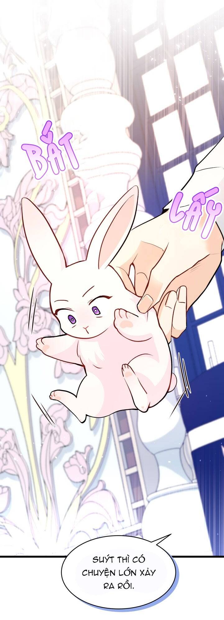 Mối Liên Kết Giữa Báo Đen Và Bé Thỏ Chap 2 - Next Chap 3