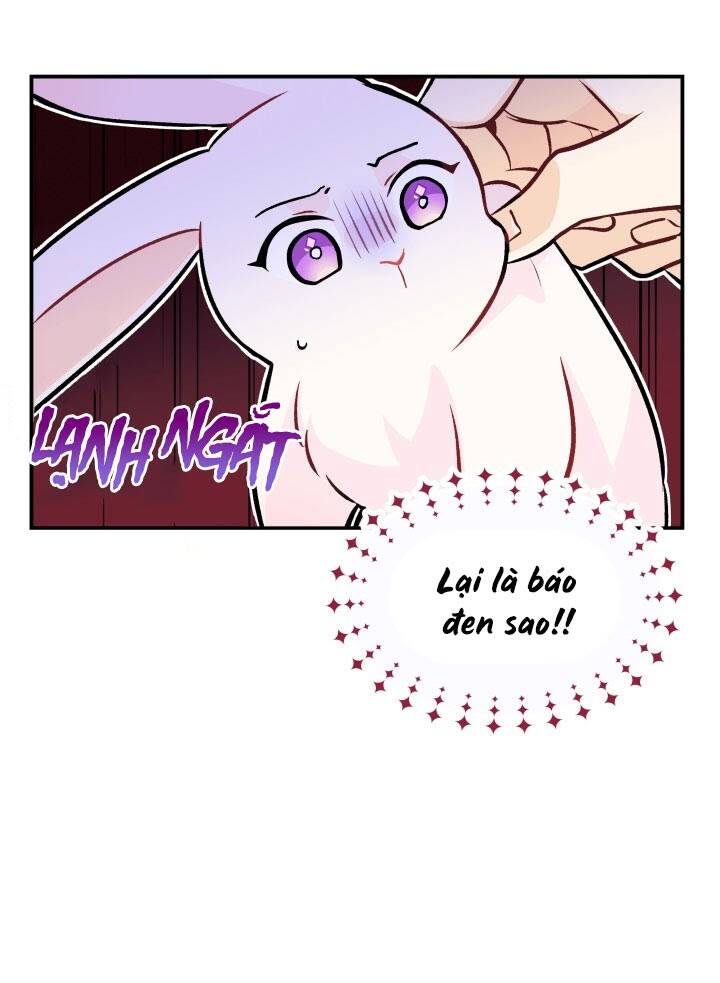Mối Liên Kết Giữa Báo Đen Và Bé Thỏ Chap 2 - Next Chap 3