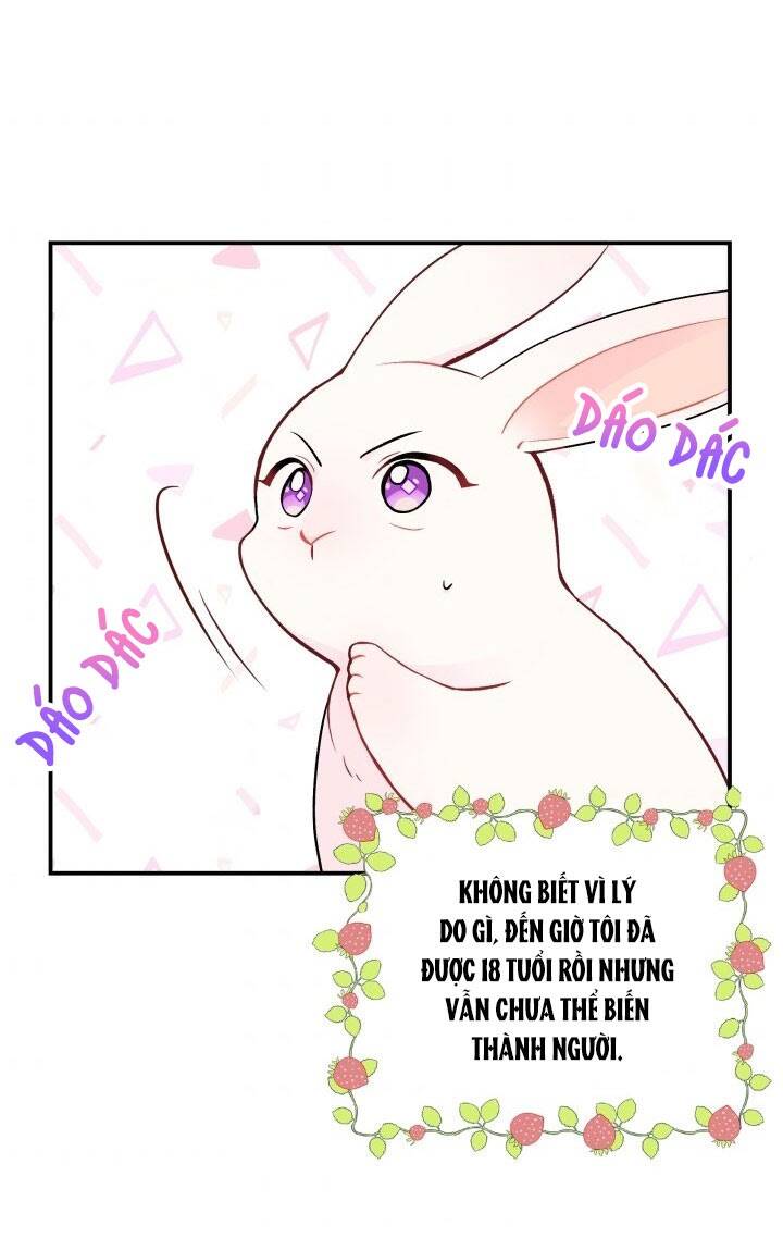 Mối Liên Kết Giữa Báo Đen Và Bé Thỏ Chap 2 - Next Chap 3