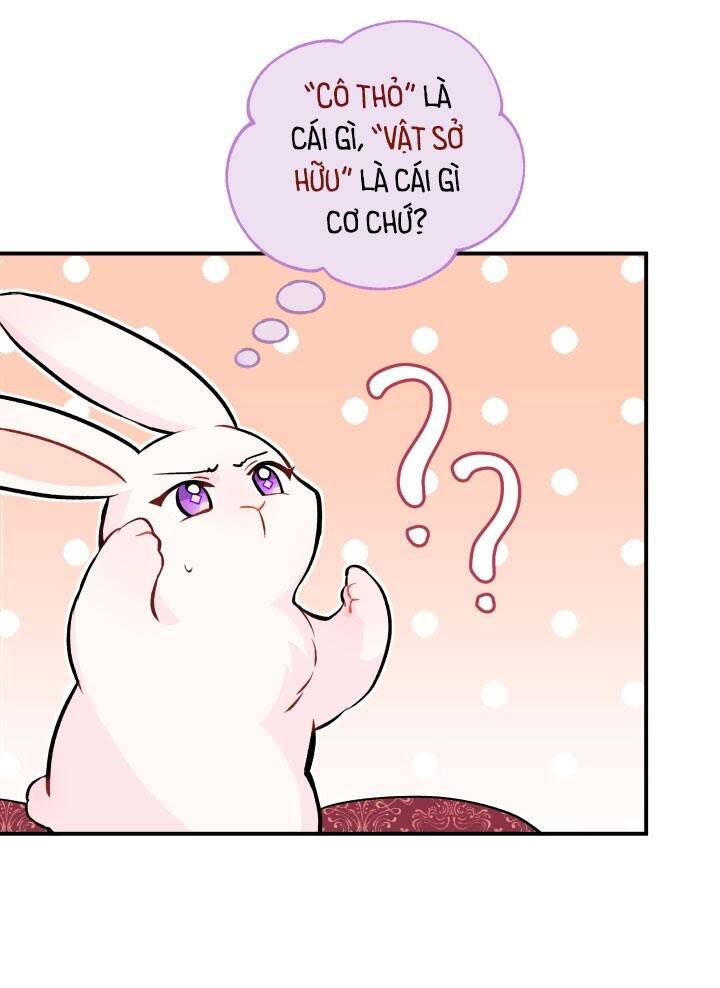 Mối Liên Kết Giữa Báo Đen Và Bé Thỏ Chap 2 - Next Chap 3