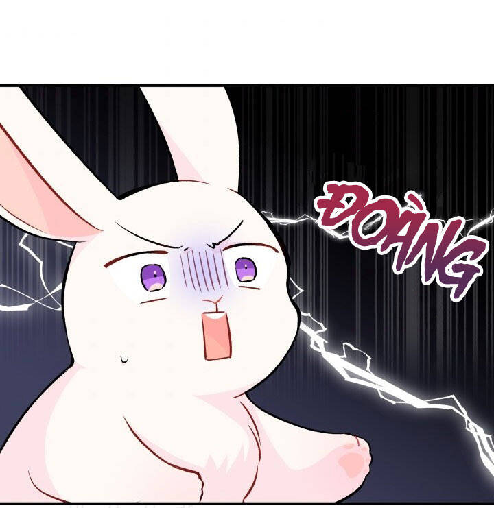 Mối Liên Kết Giữa Báo Đen Và Bé Thỏ Chap 2 - Next Chap 3