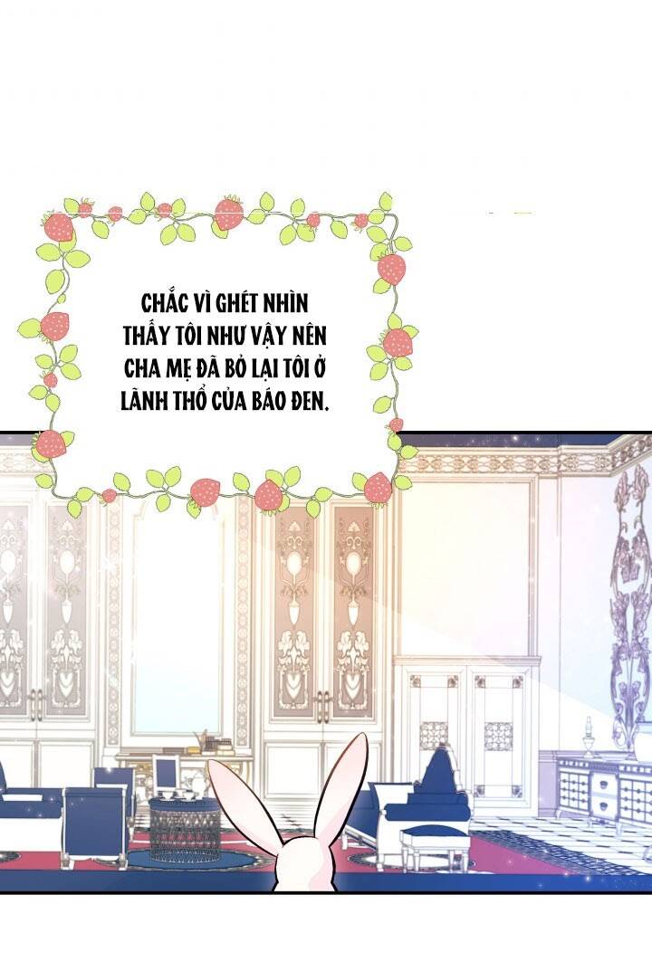 Mối Liên Kết Giữa Báo Đen Và Bé Thỏ Chap 2 - Next Chap 3