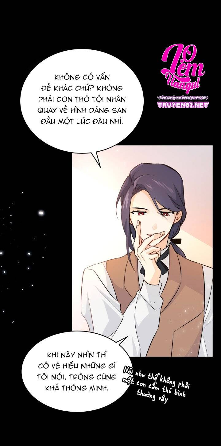 Mối Liên Kết Giữa Báo Đen Và Bé Thỏ Chap 2 - Next Chap 3