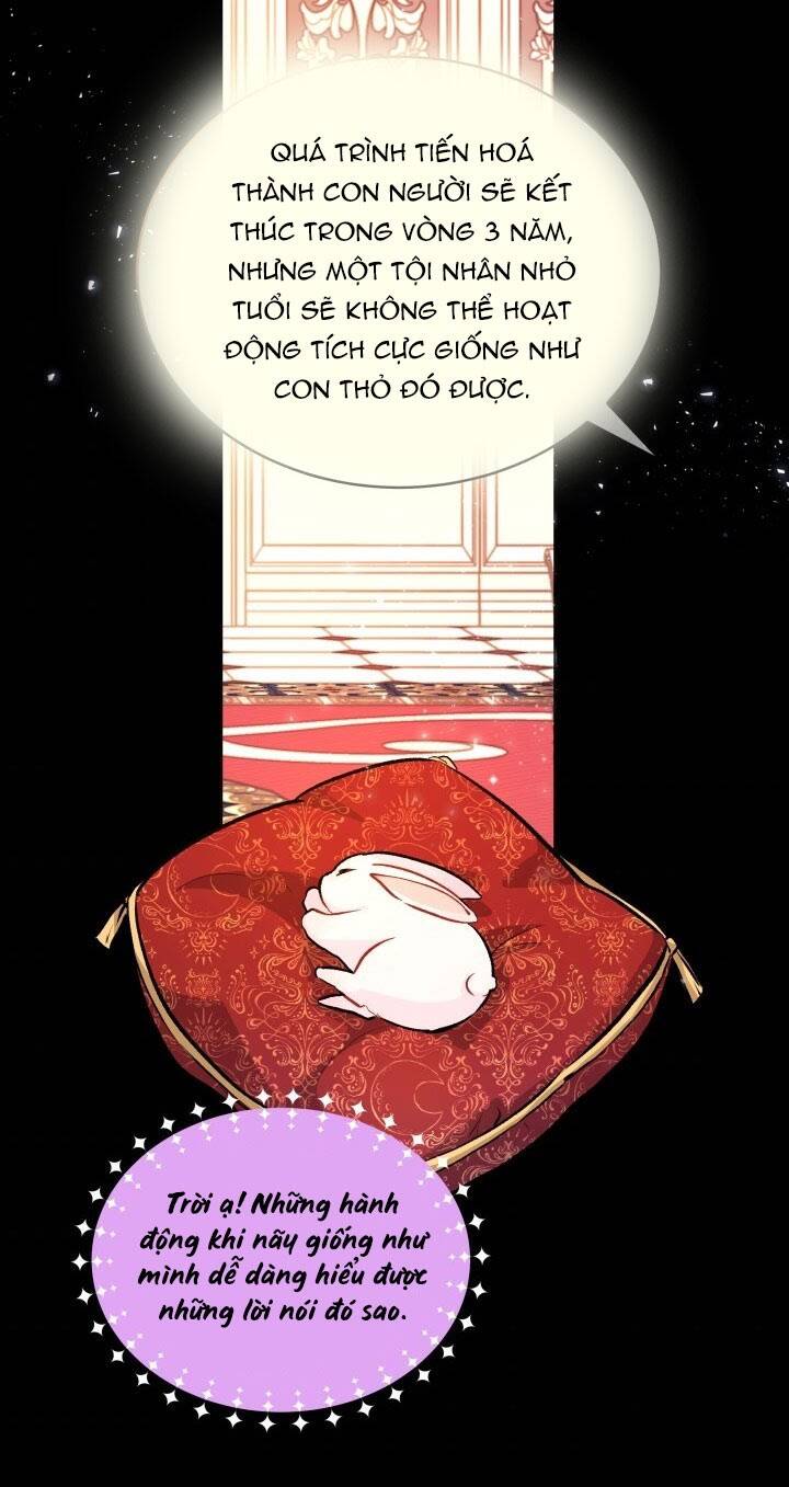 Mối Liên Kết Giữa Báo Đen Và Bé Thỏ Chap 2 - Next Chap 3