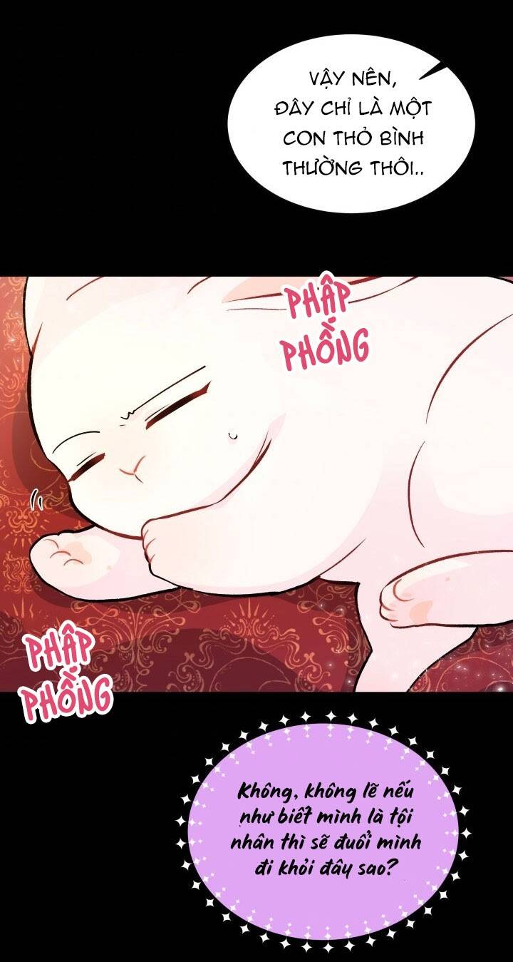 Mối Liên Kết Giữa Báo Đen Và Bé Thỏ Chap 2 - Next Chap 3