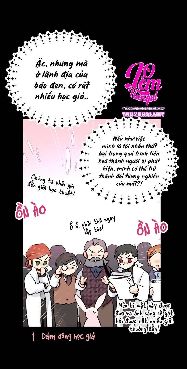 Mối Liên Kết Giữa Báo Đen Và Bé Thỏ Chap 2 - Next Chap 3