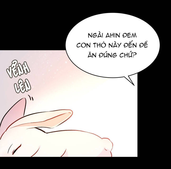 Mối Liên Kết Giữa Báo Đen Và Bé Thỏ Chap 2 - Next Chap 3