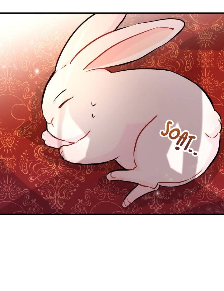 Mối Liên Kết Giữa Báo Đen Và Bé Thỏ Chap 2 - Next Chap 3