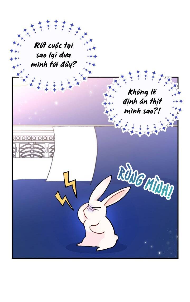 Mối Liên Kết Giữa Báo Đen Và Bé Thỏ Chap 2 - Next Chap 3