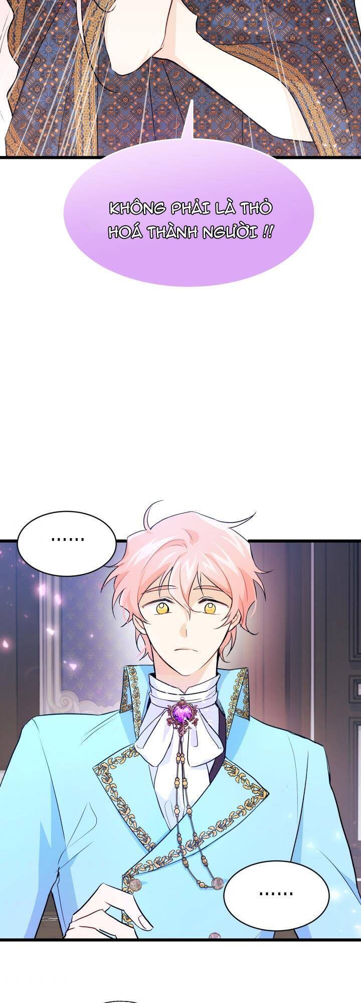 Mối Liên Kết Giữa Báo Đen Và Bé Thỏ Chap 20 - Next Chap 21