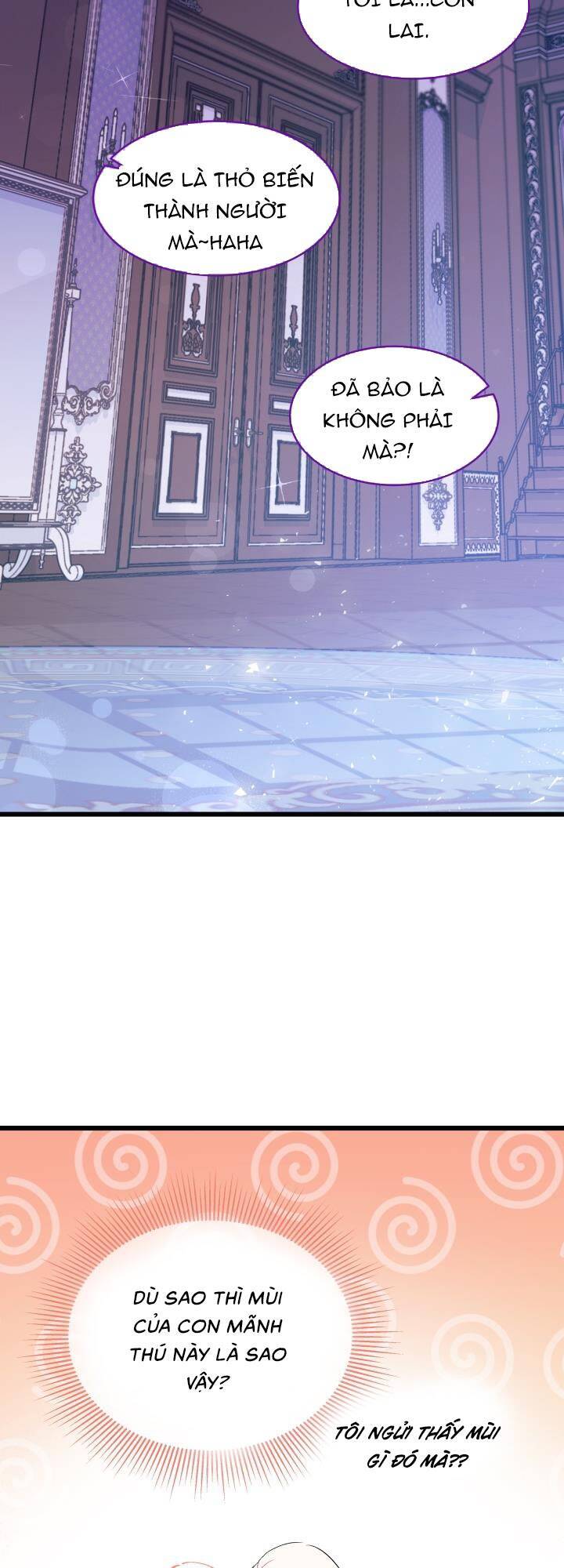 Mối Liên Kết Giữa Báo Đen Và Bé Thỏ Chap 20 - Next Chap 21