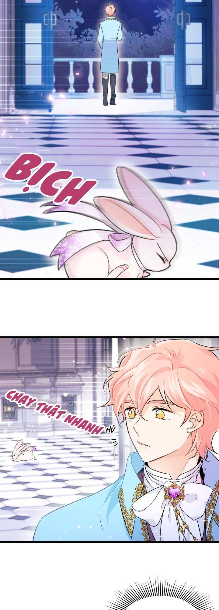 Mối Liên Kết Giữa Báo Đen Và Bé Thỏ Chap 20 - Next Chap 21