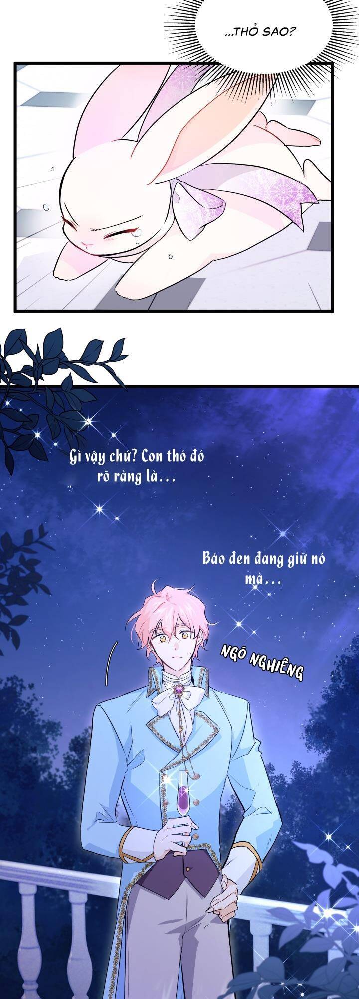 Mối Liên Kết Giữa Báo Đen Và Bé Thỏ Chap 20 - Next Chap 21